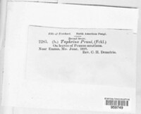 Image Associated With the Occurence